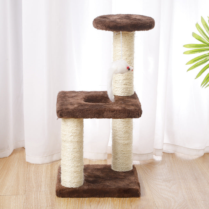 Katzenbaum