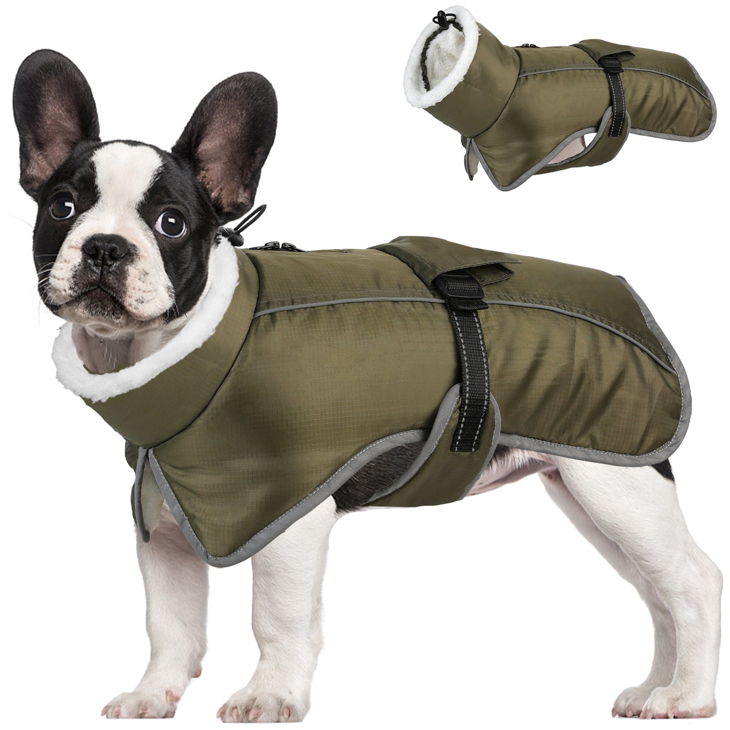 Warmer Hundemantel