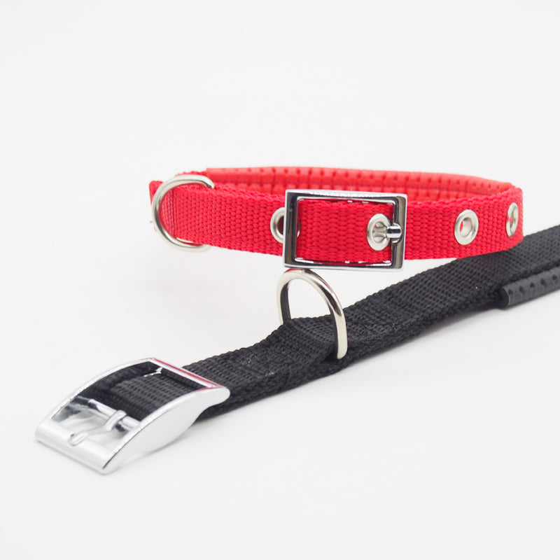 Hundehalsband verstellbar