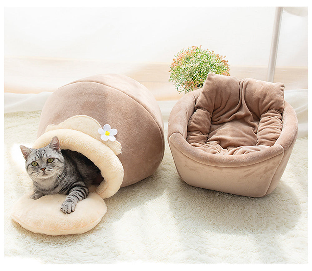2 in einem Katzen Haus-Bett