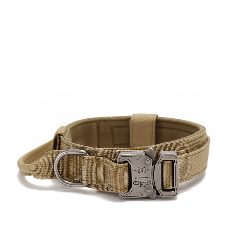 Hundehalsband mit Metallverschluss