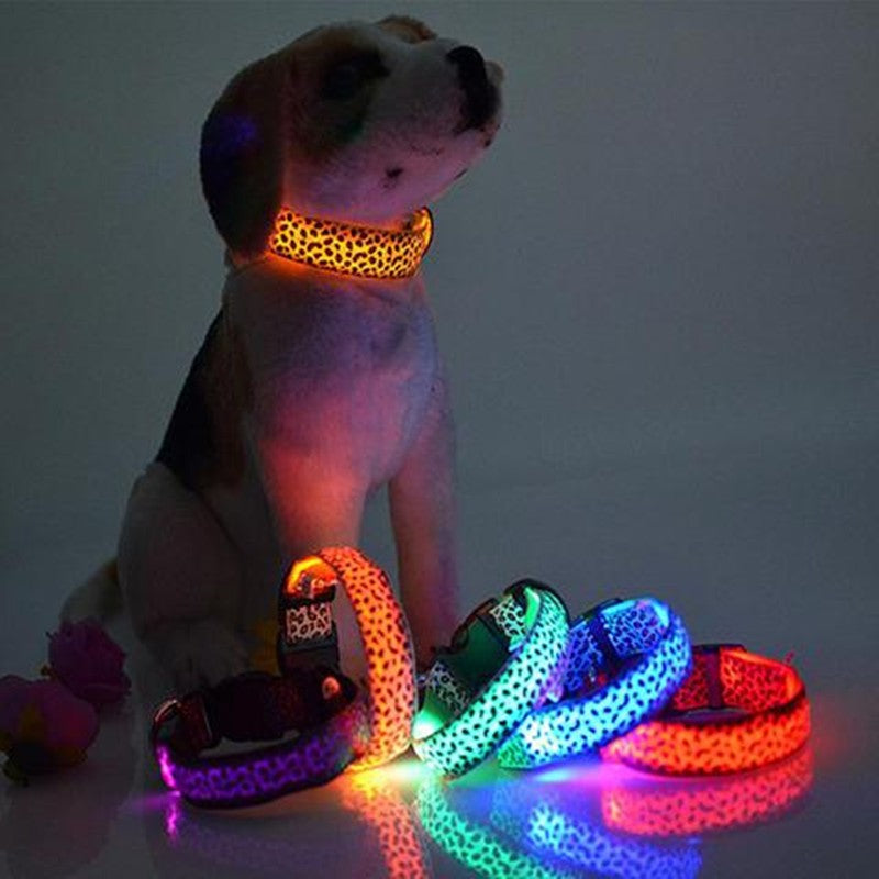 LED Hundehalsband mit leopardmuster