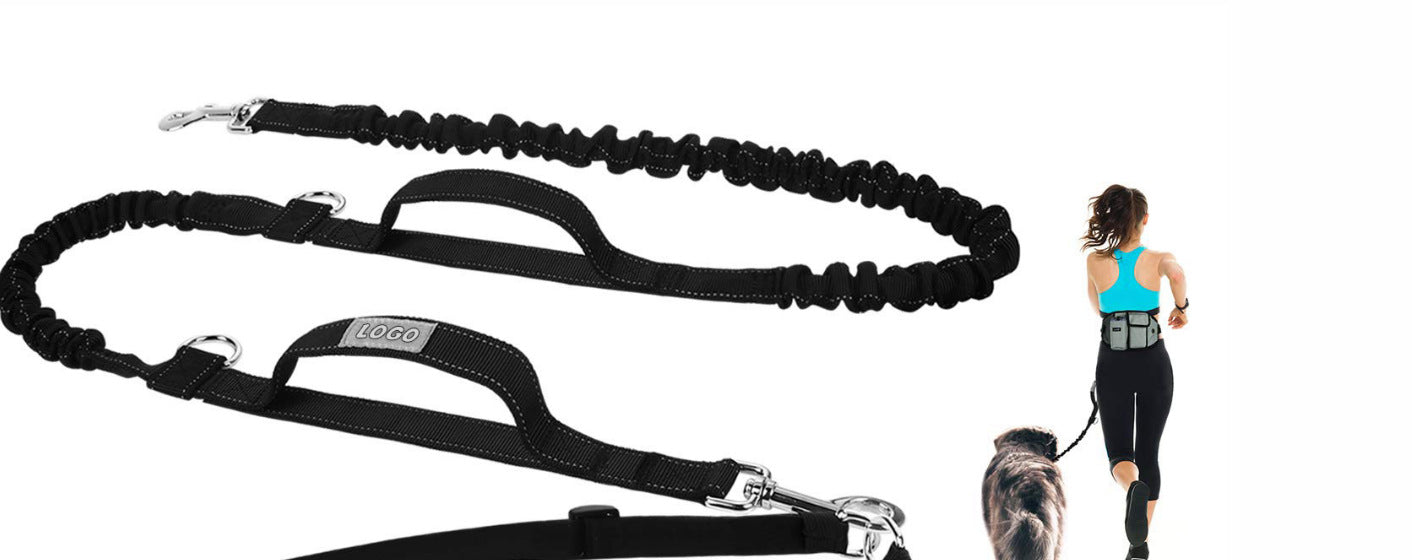 Gassi-Tasche mit Hundeleine