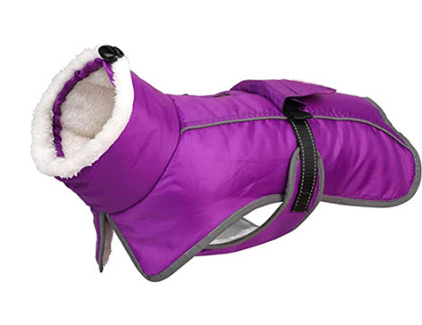 Warmer Hundemantel