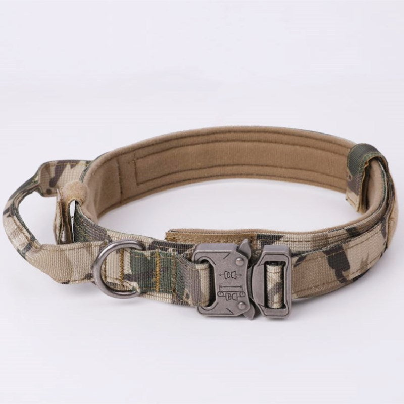 Hundehalsband mit Metallverschluss