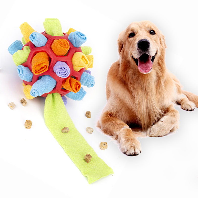 Such/Schnüffel Hundespielzeug