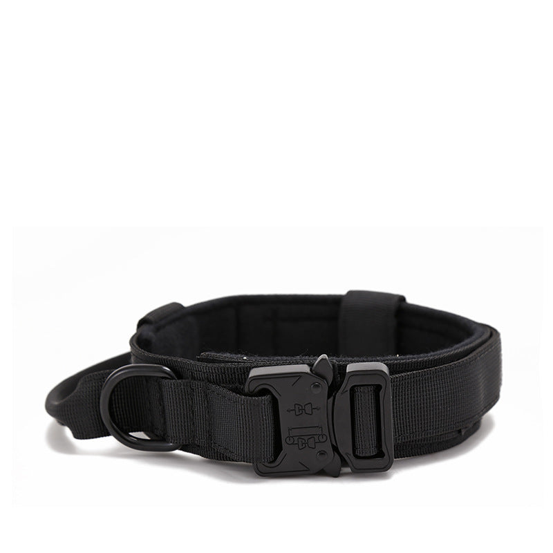 Hundehalsband mit Metallverschluss