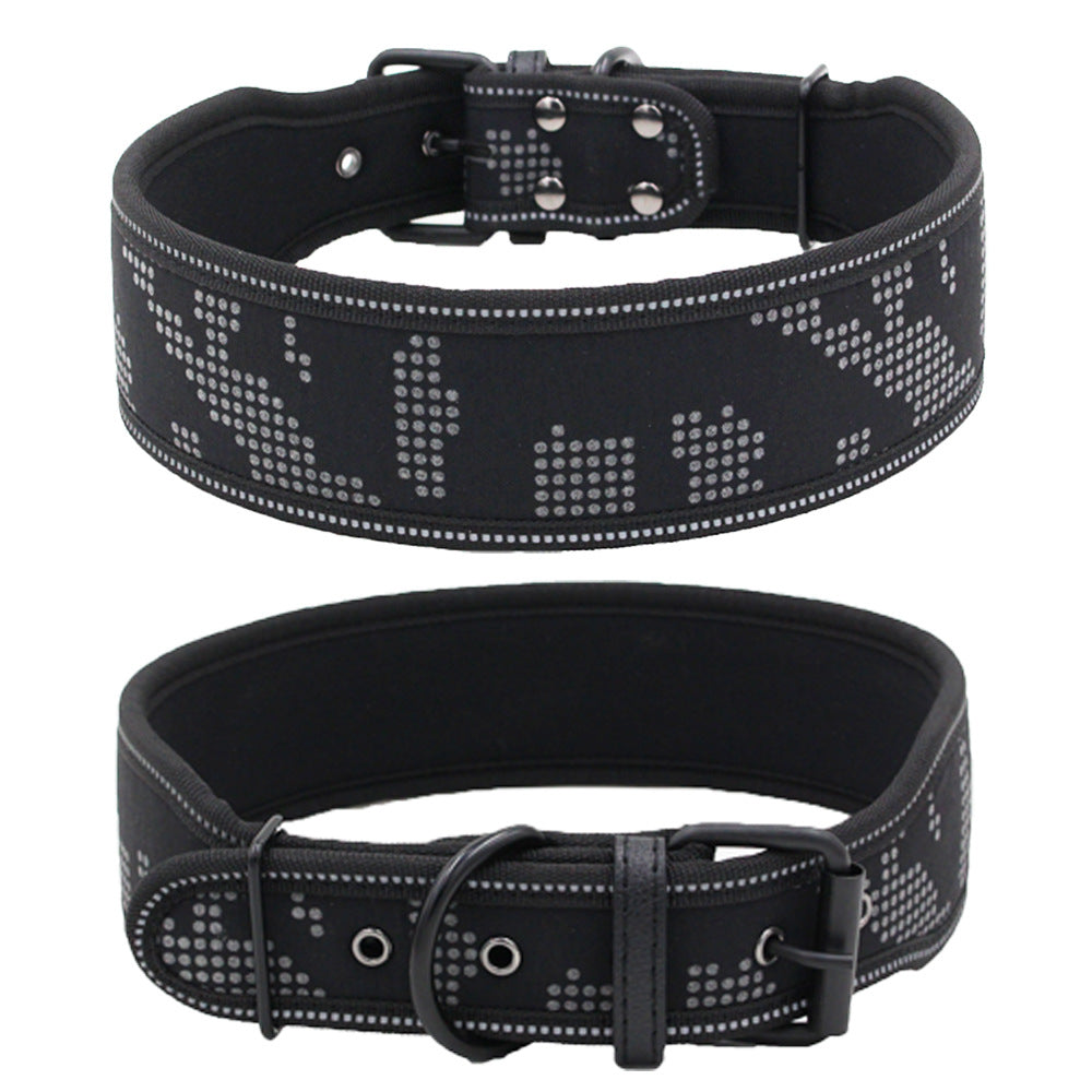 Hundehalsband leuchtet nachts