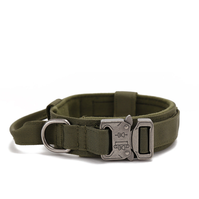 Hundehalsband mit Metallverschluss