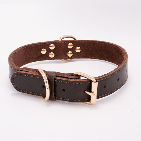Hunde Lederhalsband