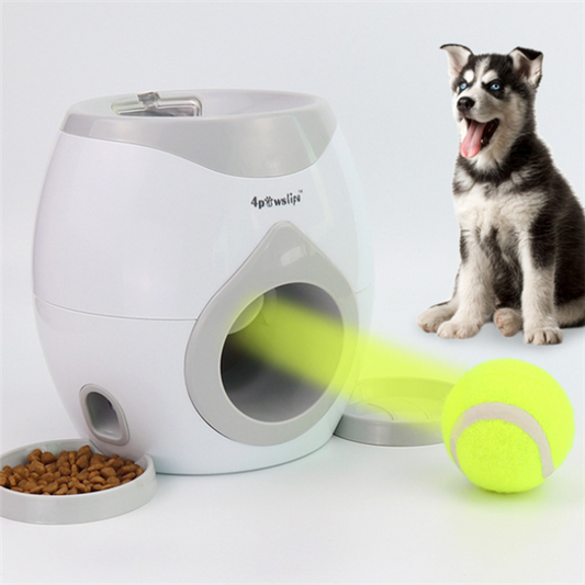 Tennisball Wurfmaschine