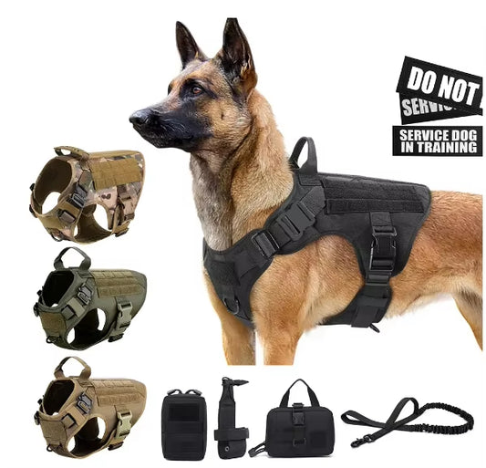 Luxuriöses Hunde-Geschirr