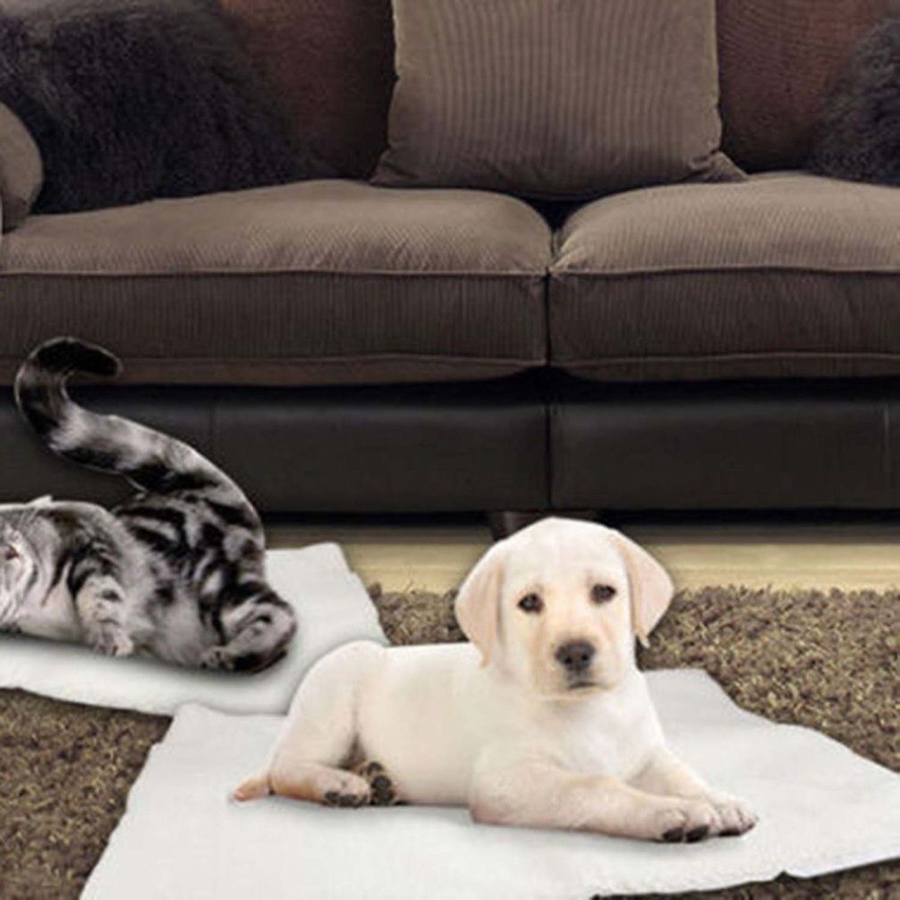Selbst Heizende Hundedecke